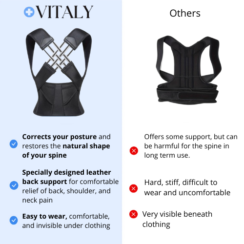 Vitaly® Ergonomic Backbrace (IR, UK, AU, US)